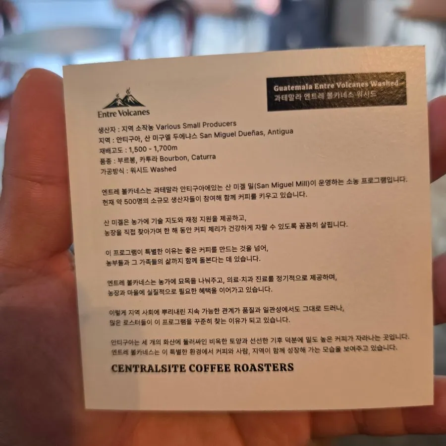 정통 레시피 클래식 티라미수 한 접시