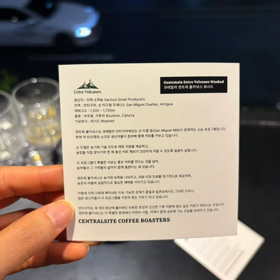 원두별로 다른 두 잔의 드립커피
