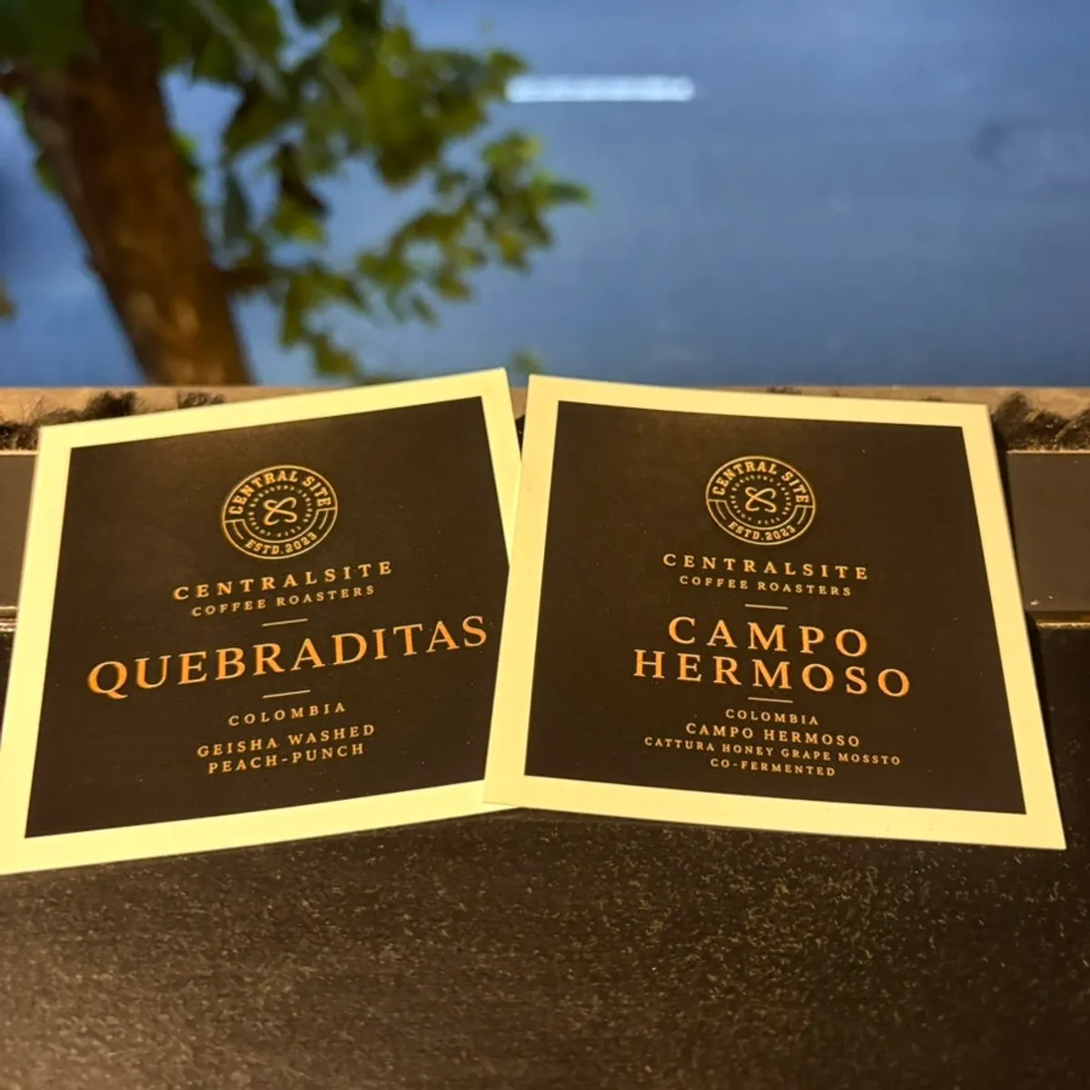 Colombia Caturra Honey drip coffee with classic tiramisu