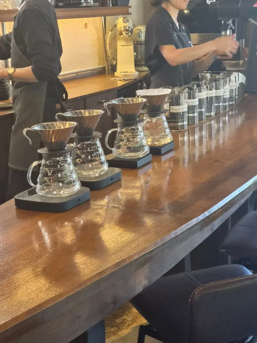 Ground beans set out for aroma tasting