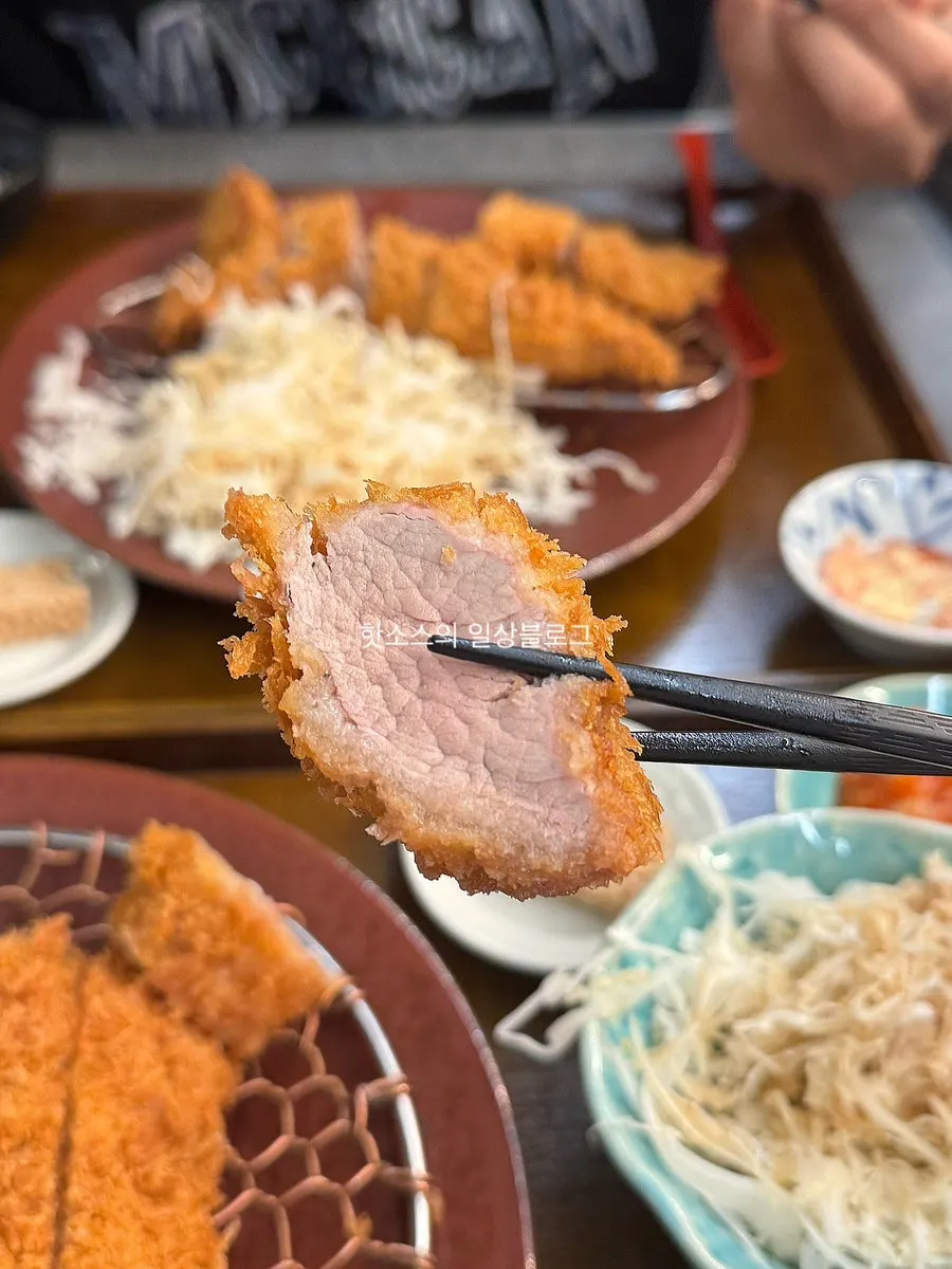 히레카츠 한 점 클로즈업