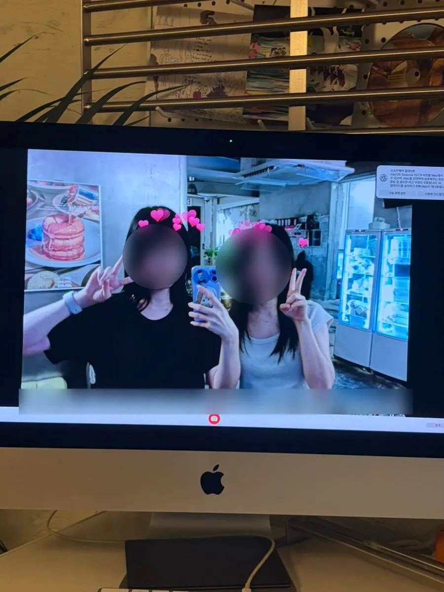 올리브색 소파 자리 전경