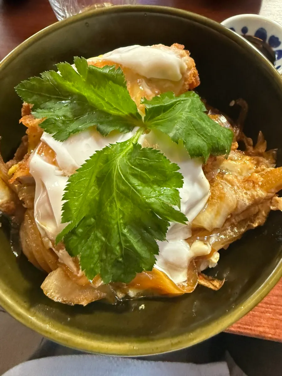 Two rice bowls: katsudon and salmon don
