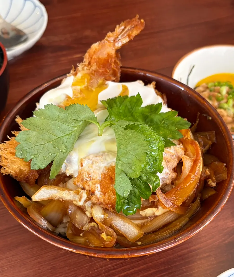 見た目がしっかりしたミックスかつ丼