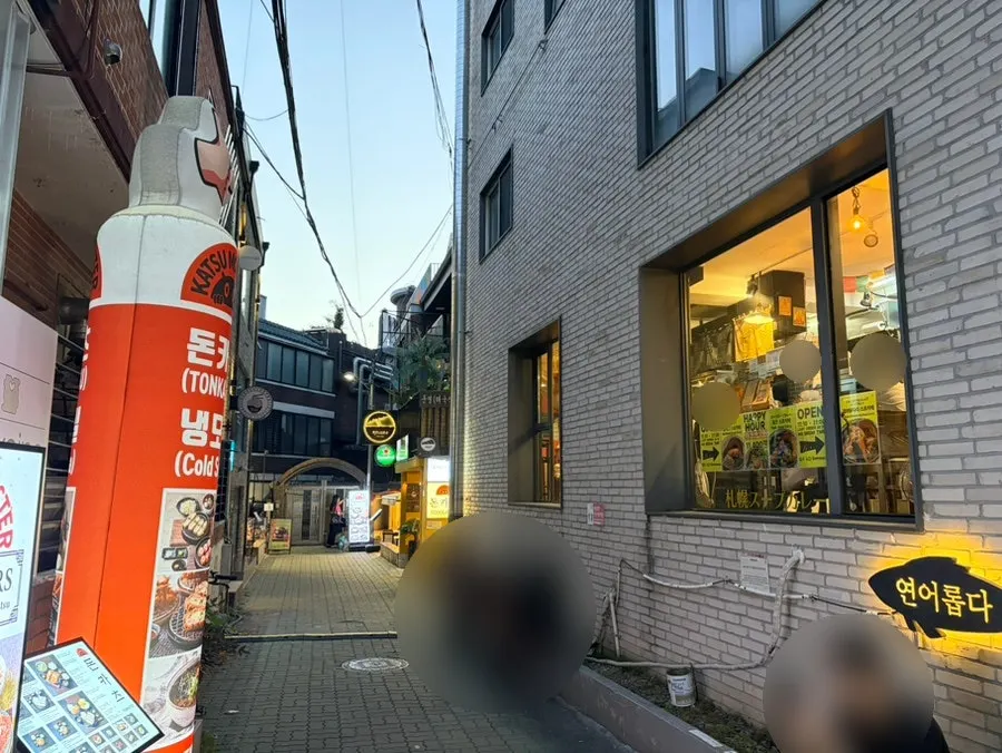 Alley leading to Katsu Monster Yeonnam Main Branch on Donggyo-ro 38-gil in Yeonnam-dong