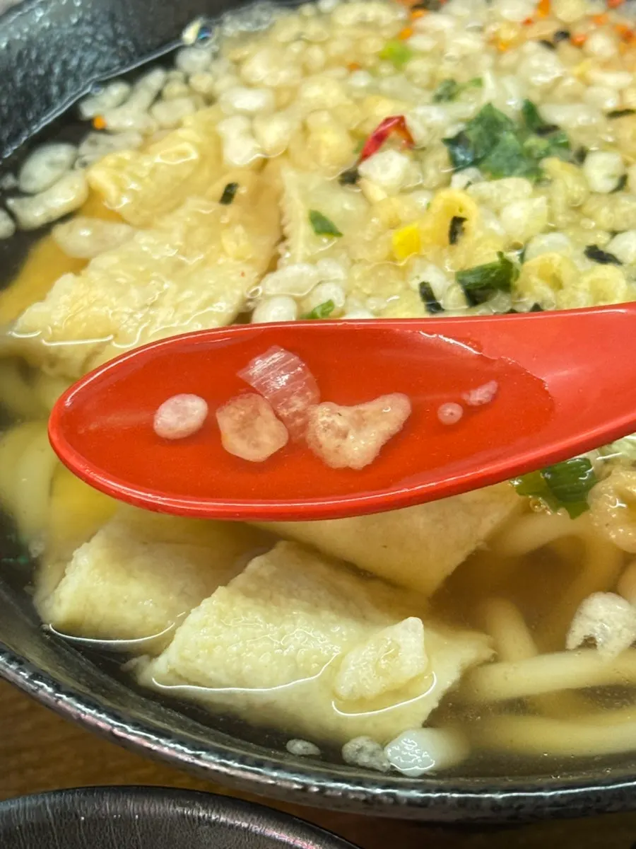 A generous serving of udon