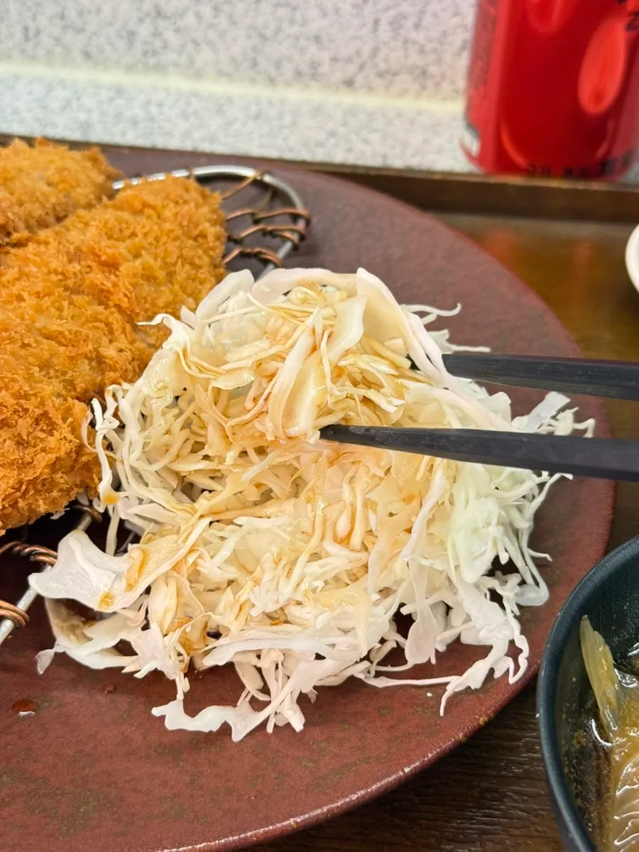 Pork tenderloin katsu with cabbage salad