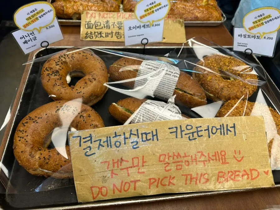 밤이 꽉 찬 만동제과 밤식빵