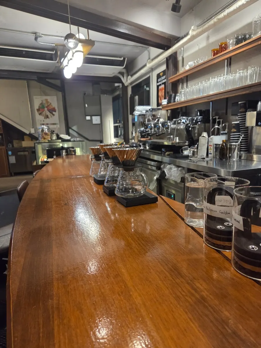 Specialty coffee beans neatly arranged at the counter