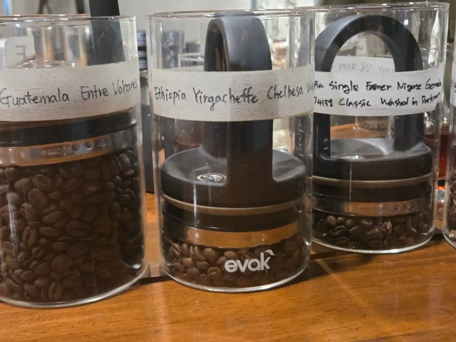A varied lineup of specialty coffee beans