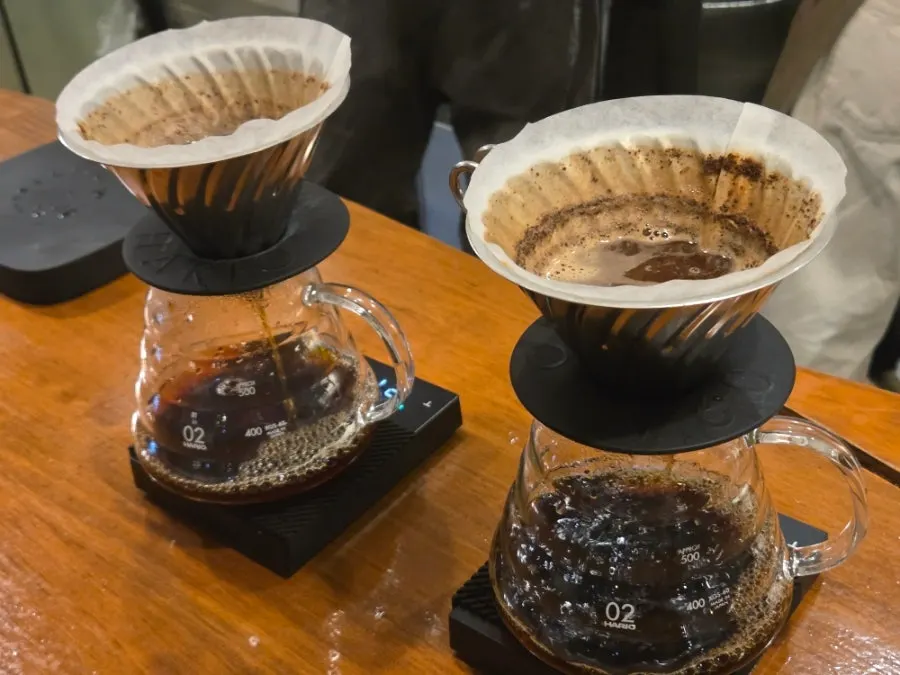 Smelling specialty coffee beans