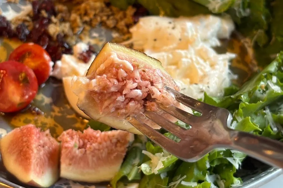 Burrata salad with seasonal fruit