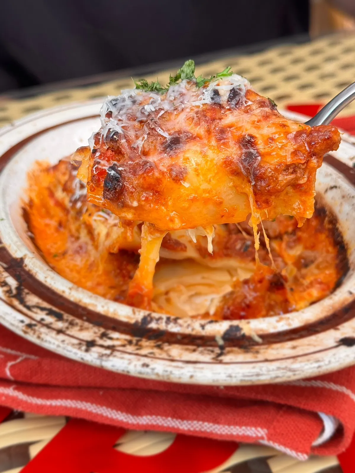 Lasagna with rich sauce