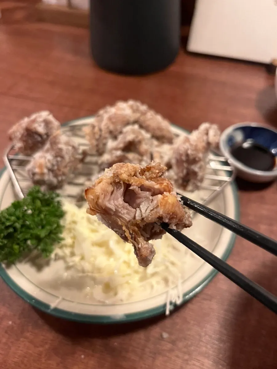 Hot, freshly served chicken karaage