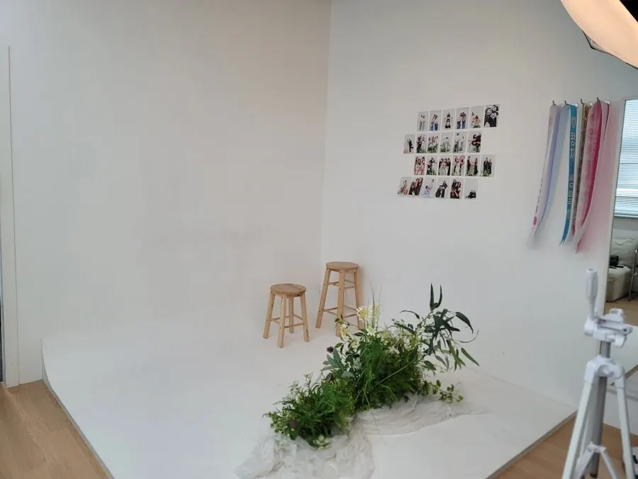 선택 가능한 센터피스 컬러 세팅