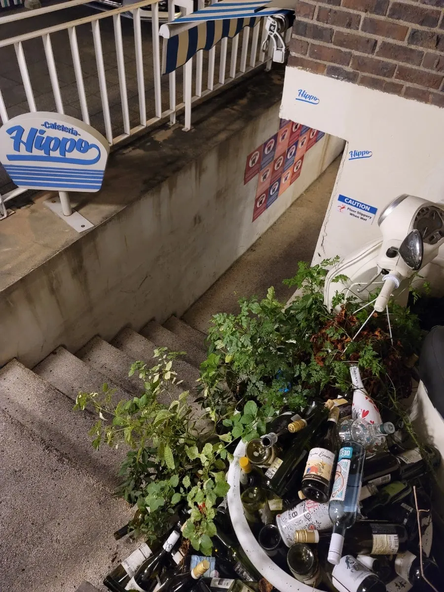 Stairs leading down to the basement wine market