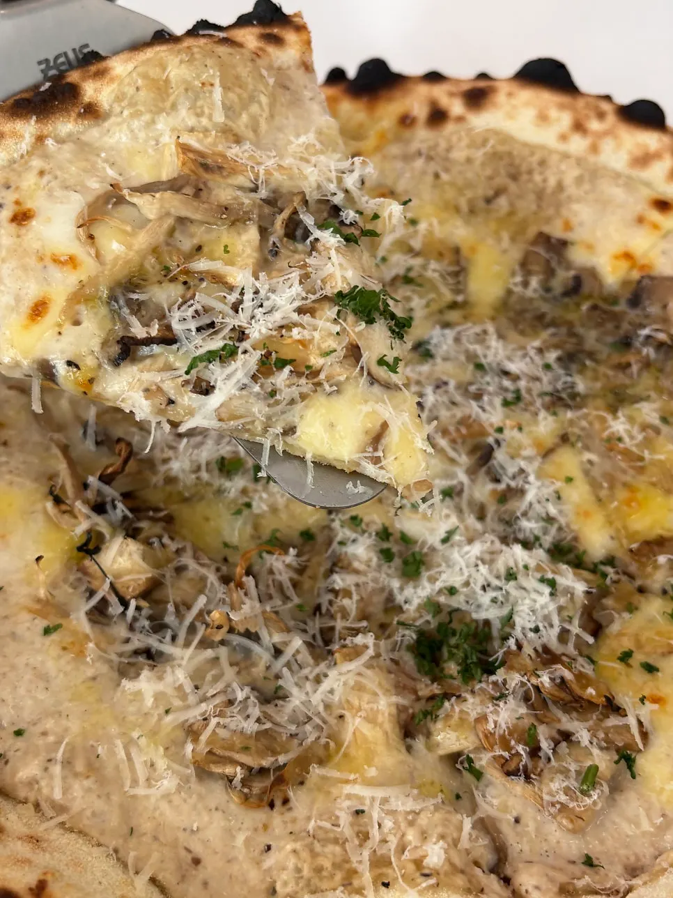 Cream-based Quattro Fungi Pizza
