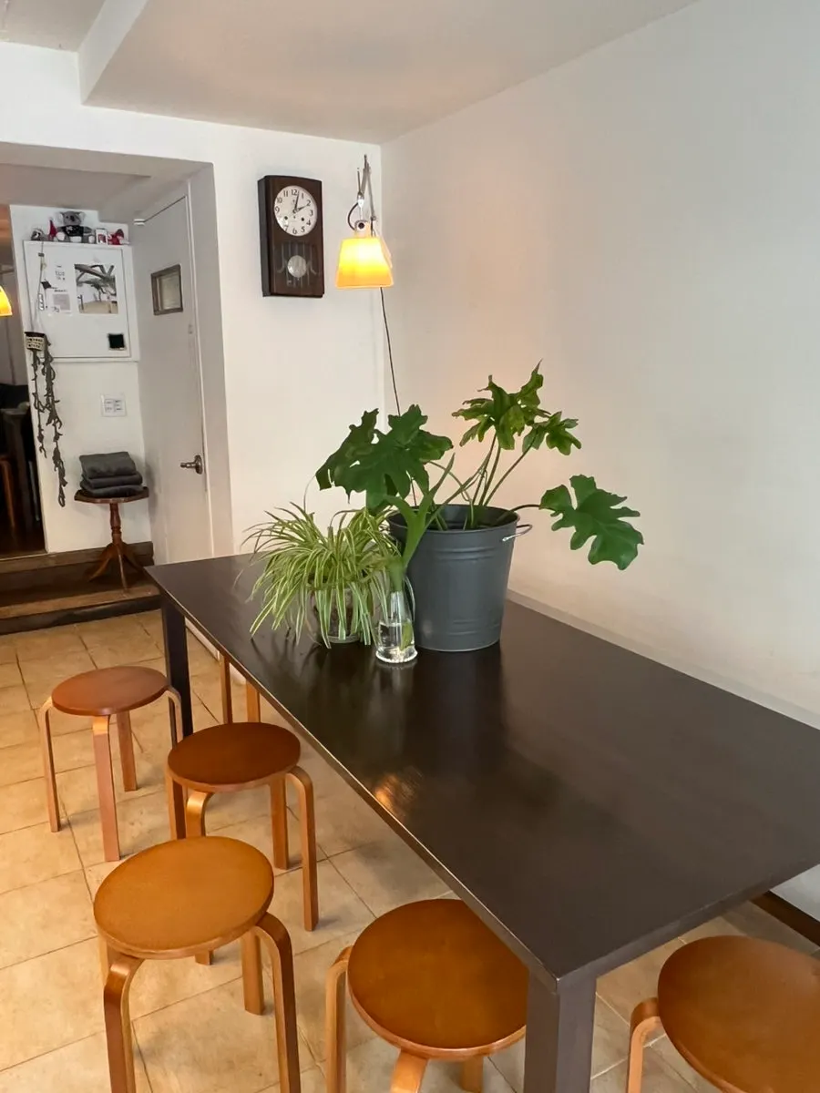Café interior with floor-to-ceiling window and sofa seating
