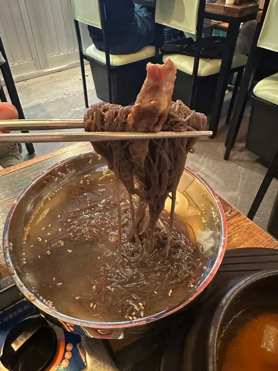 면이 넉넉하게 담긴 물냉면