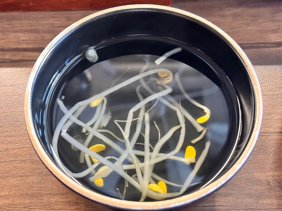애피타이저로 나온 콩나물국