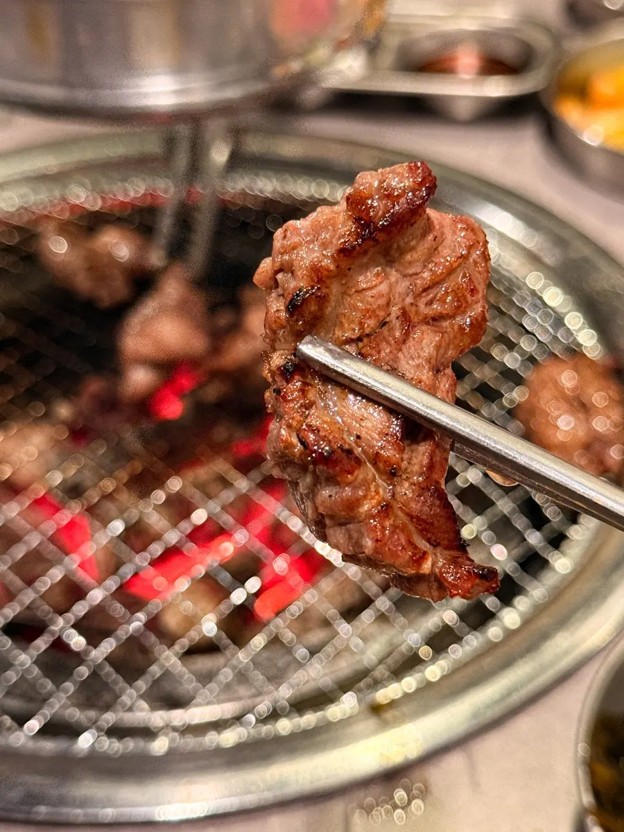 Close-up of grilled galbisal