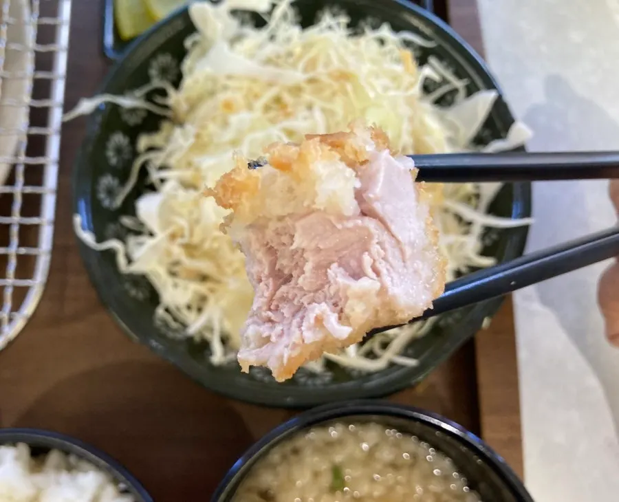 Cross-section of tonkatsu with thin breading