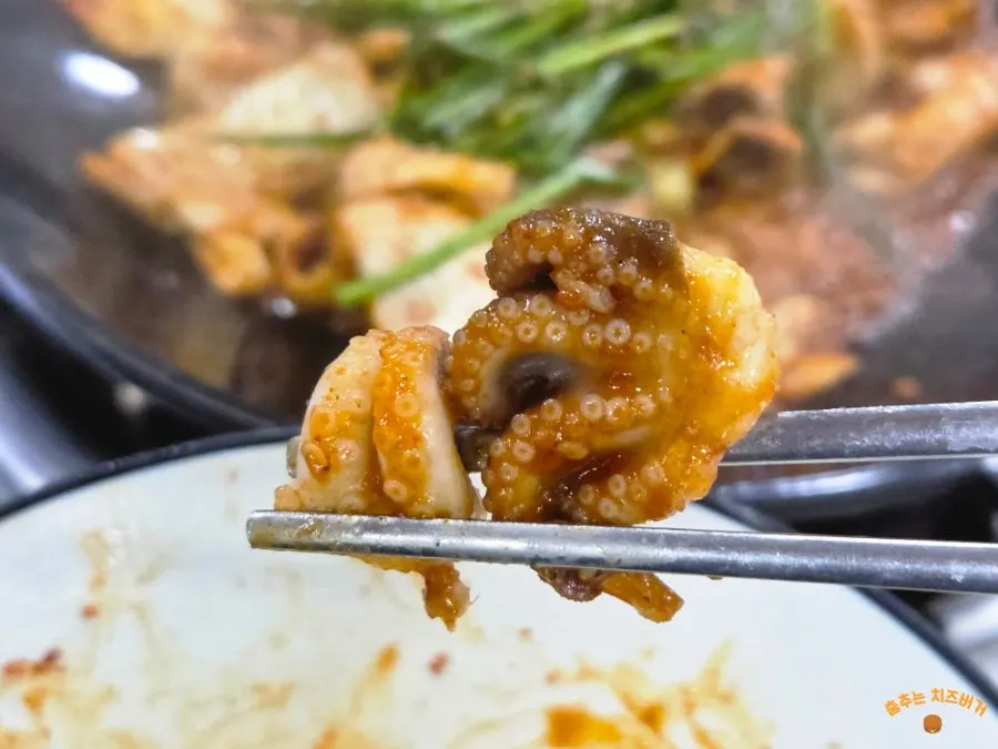 밥과 양배추를 곁들인 주꾸미볶음
