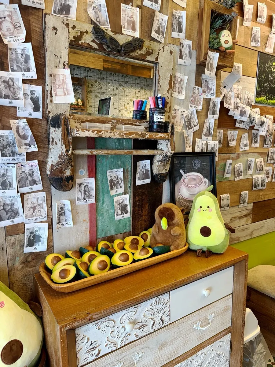 Avocado Yeosu kiosk ordering guide