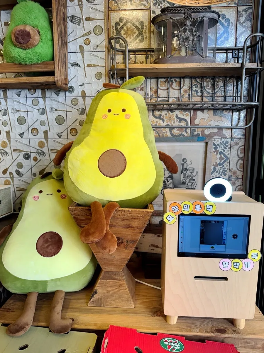 Avocado Yeosu review event guide