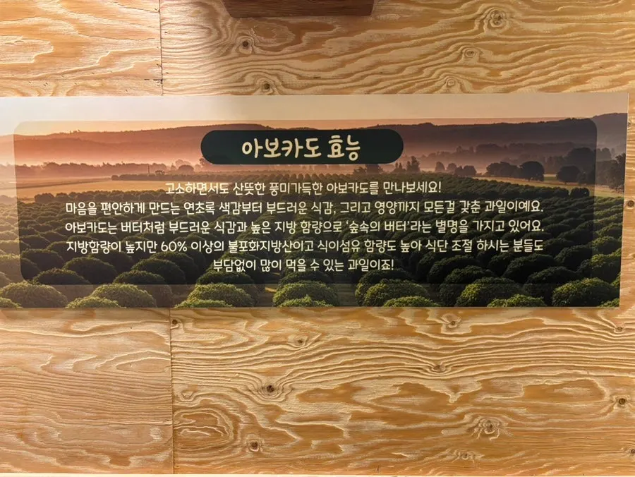 아보카도 여수 매장 내부 가로 사진