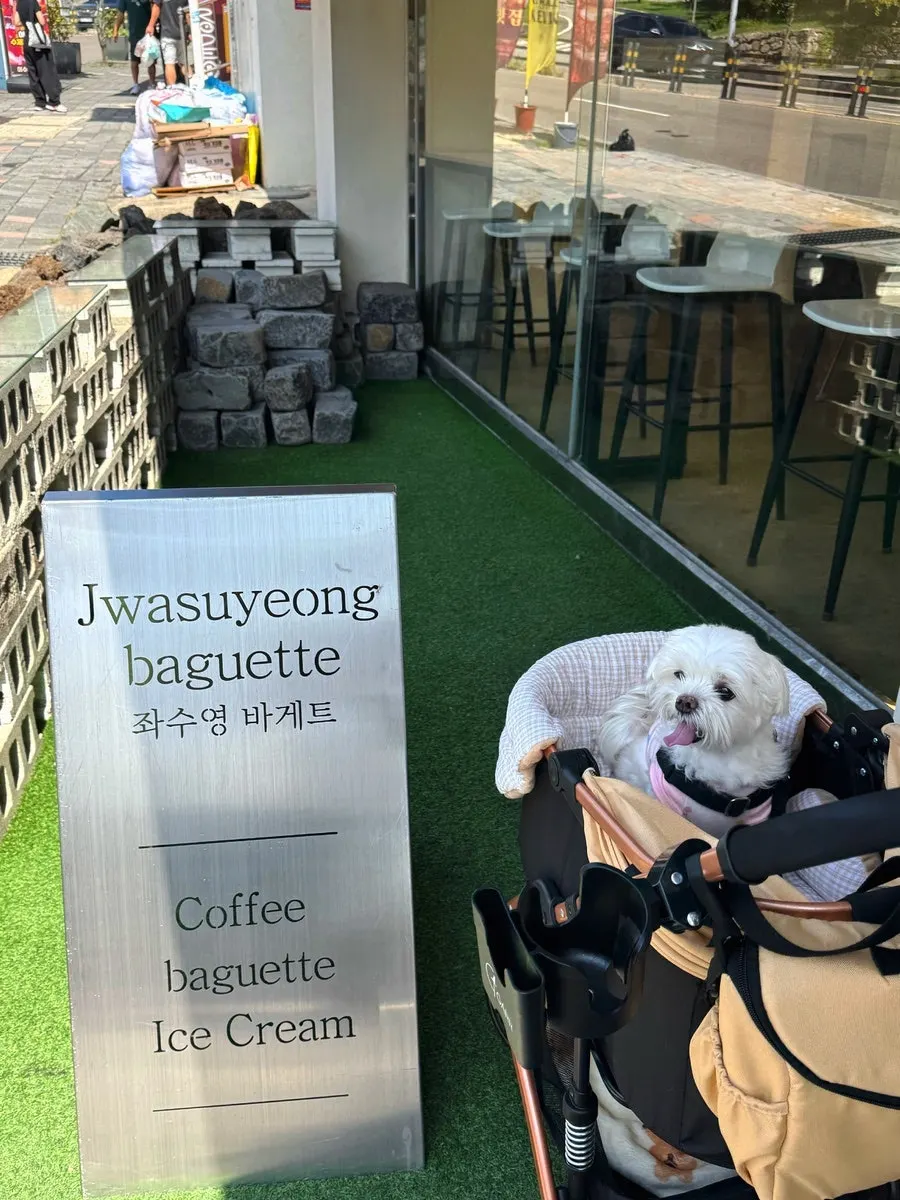 애견동반 불가 안내와 기다리는 반려견