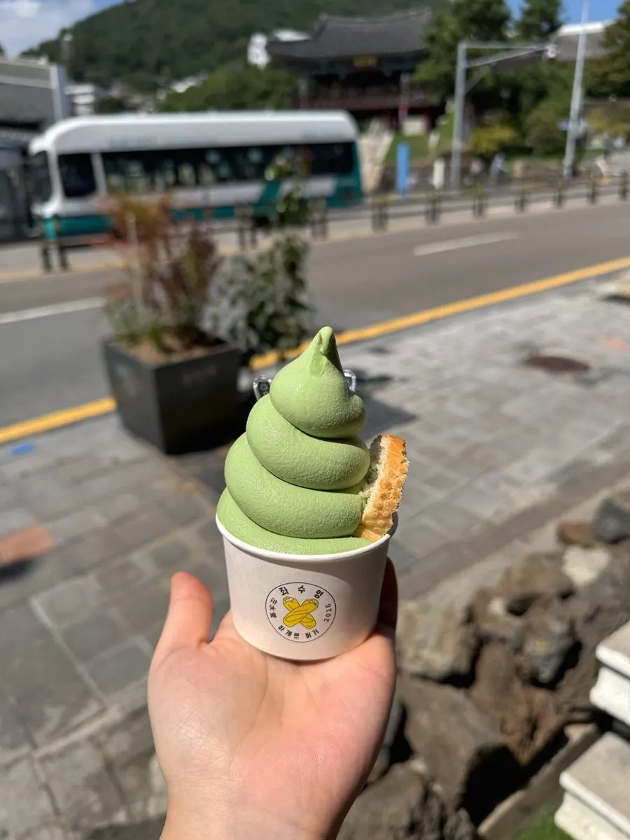 뚱카롱 구매 보냉백과 아이스팩