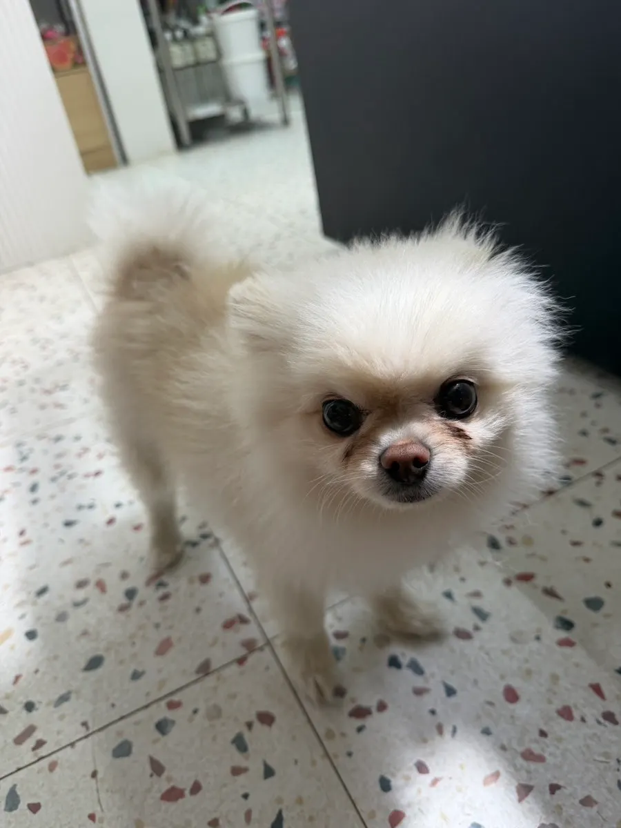 야외 조명과 여유 있는 테이블 공간