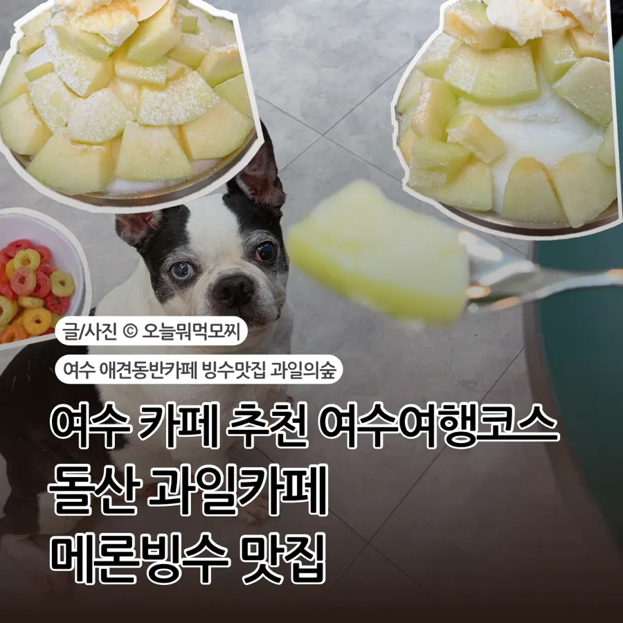 Fruit desserts found during a Yeosu trip