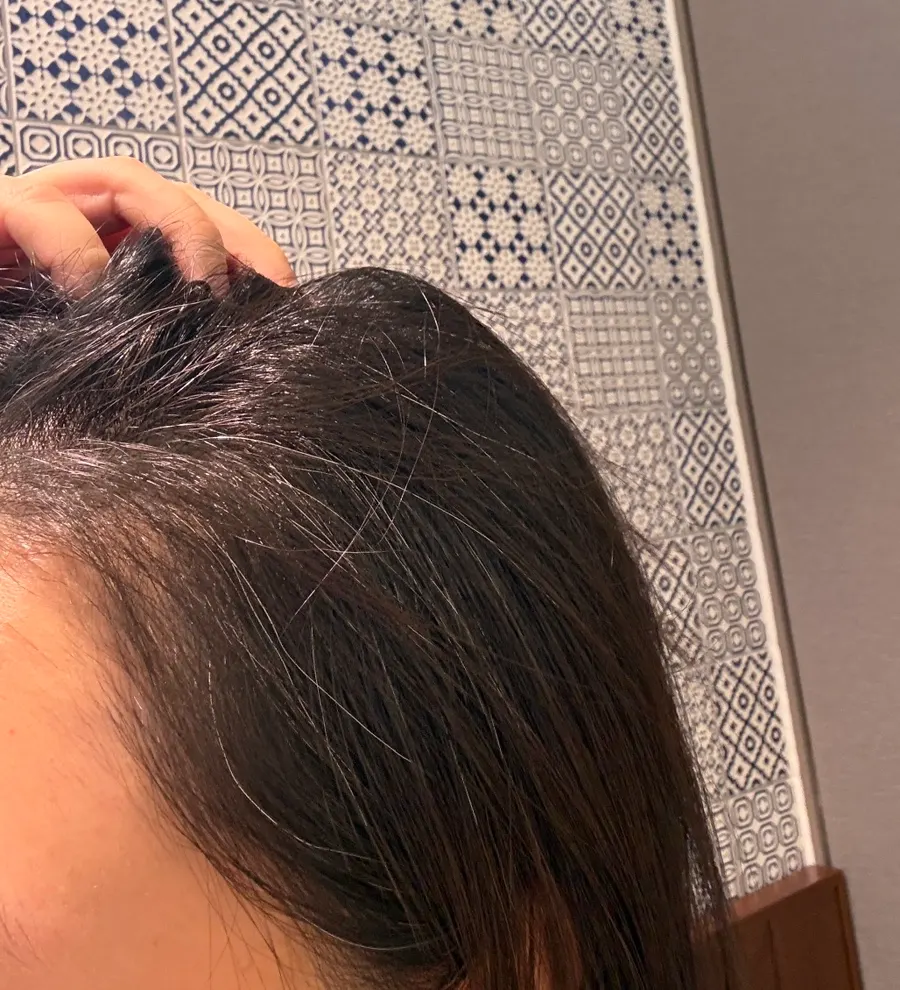 Hair with noticeable gray hairs before coloring