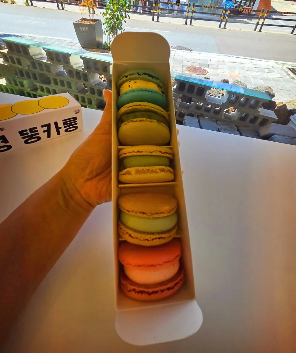 좌수영 뚱카롱이 담긴 접시