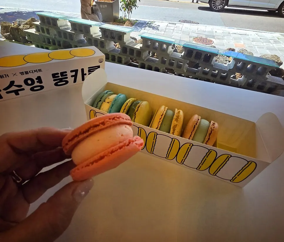 알록달록한 뚱카롱 클로즈업
