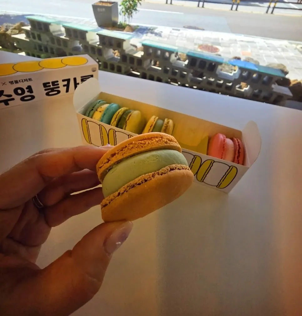 여행 간식으로 담아가는 뚱카롱