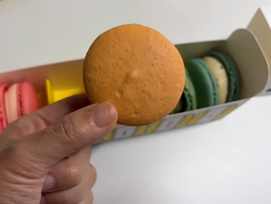 A chubby macaron with a chewy shell and thick cream filling