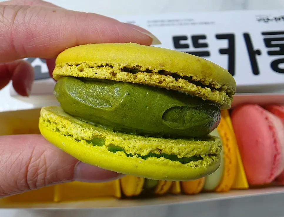 Mugwort chocolate chip macaron