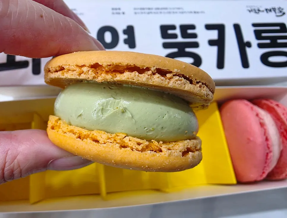 Real mugwort macaron