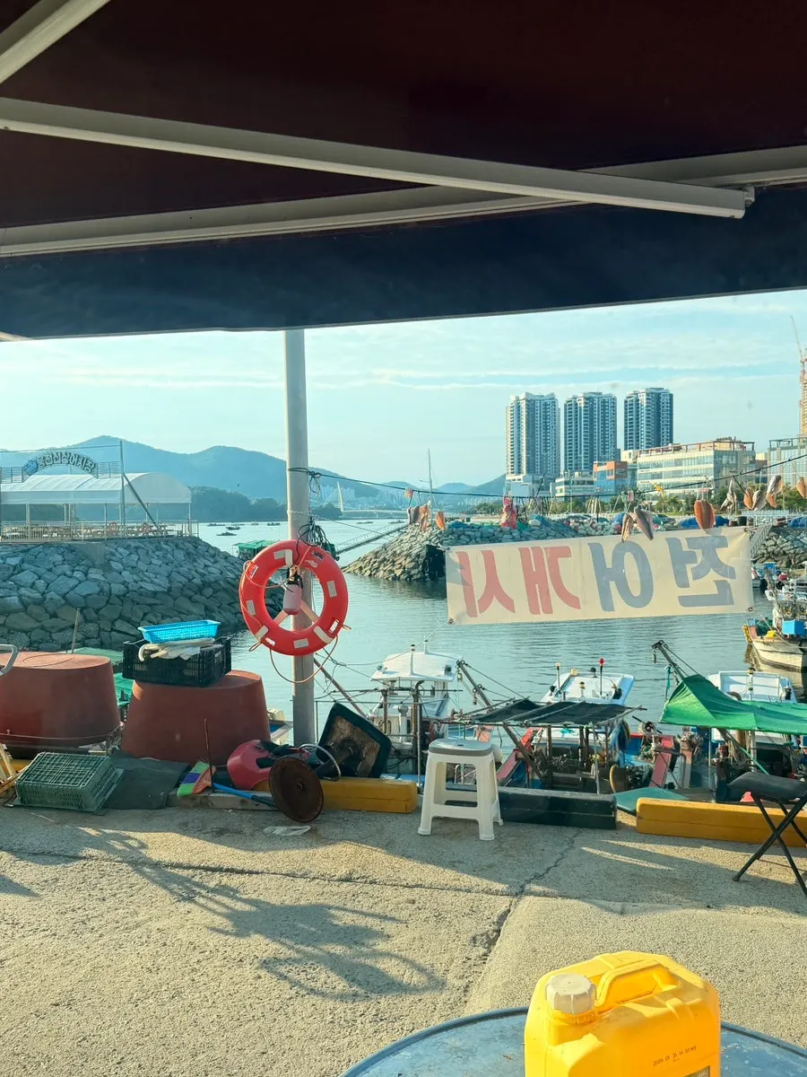Fishing boats docked at the harbor in front of the shop