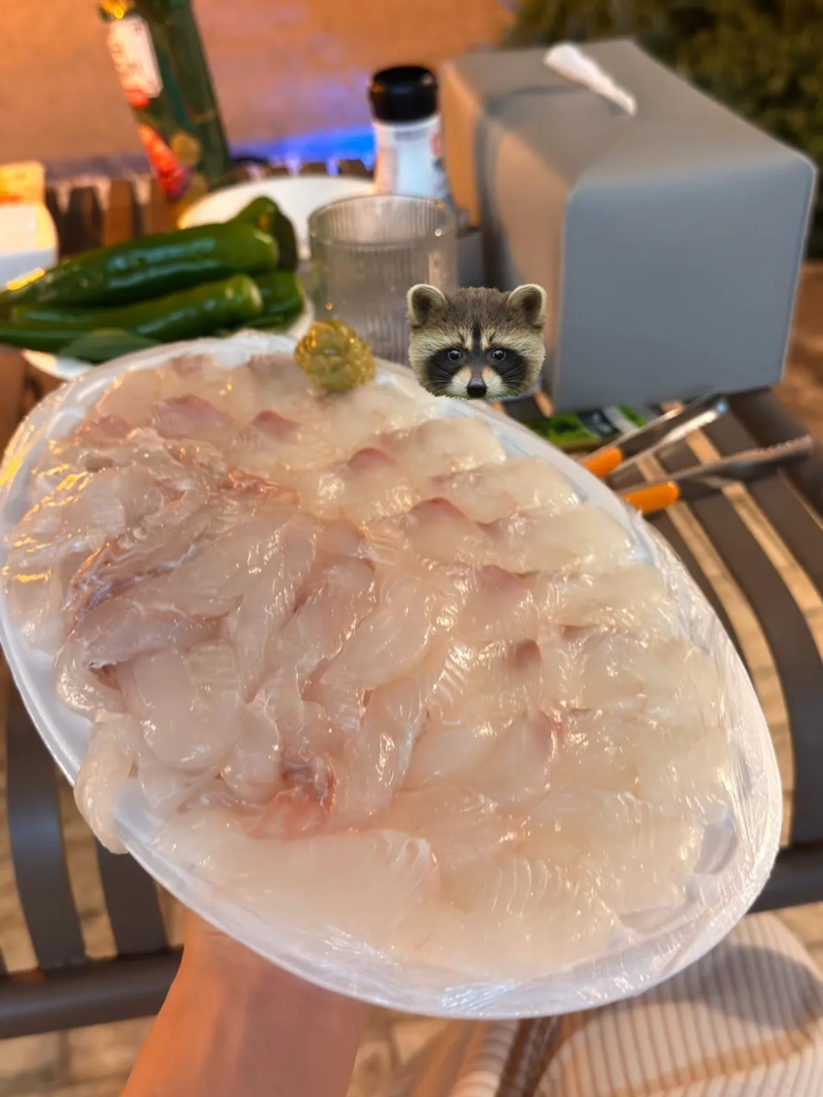 Close-up of glossy wild flounder sashimi