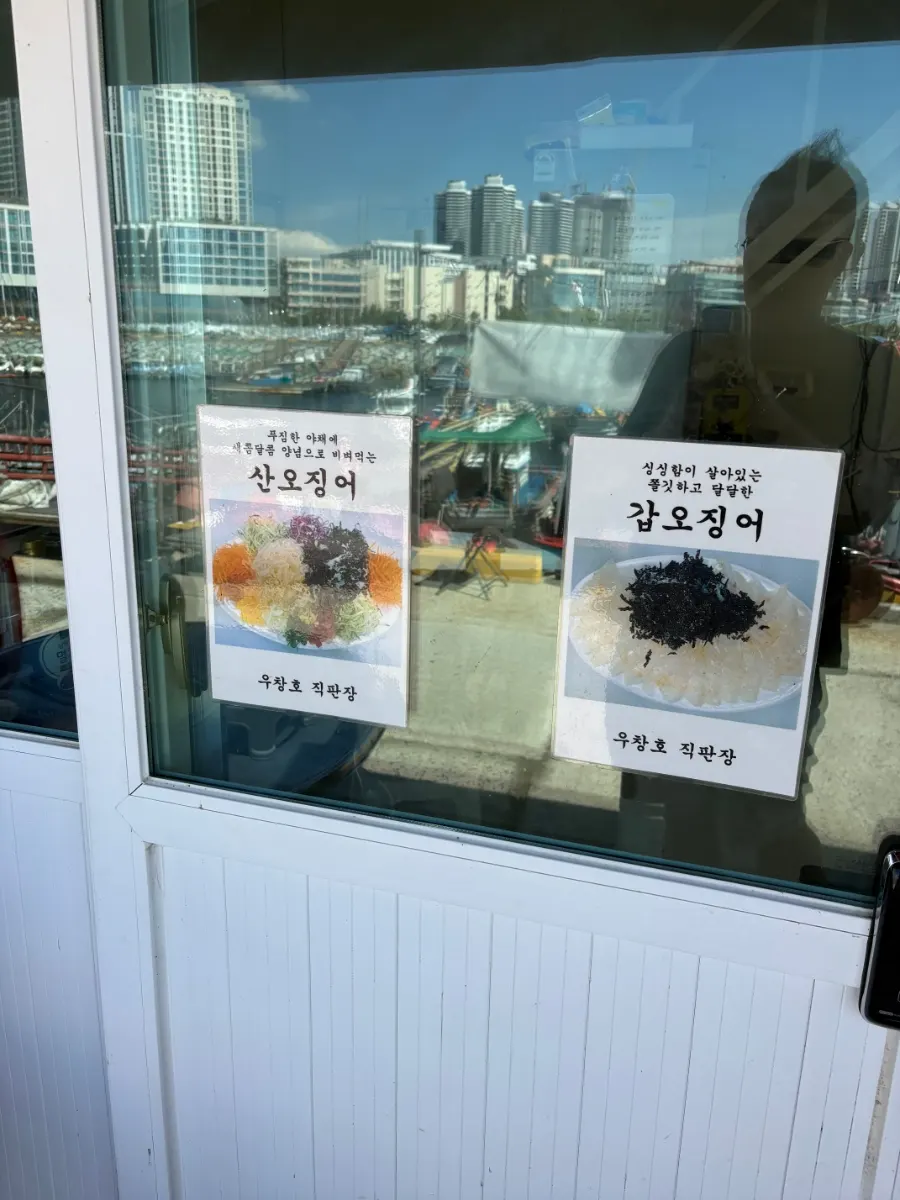 입구에 붙은 산오징어·갑오징어 안내 그림