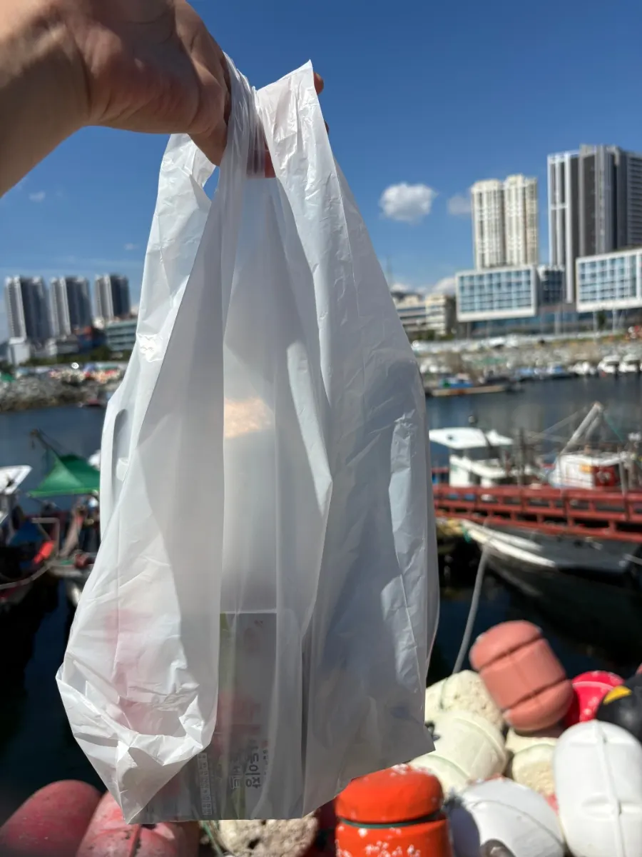 아이스팩과 단열팩에 포장된 회
