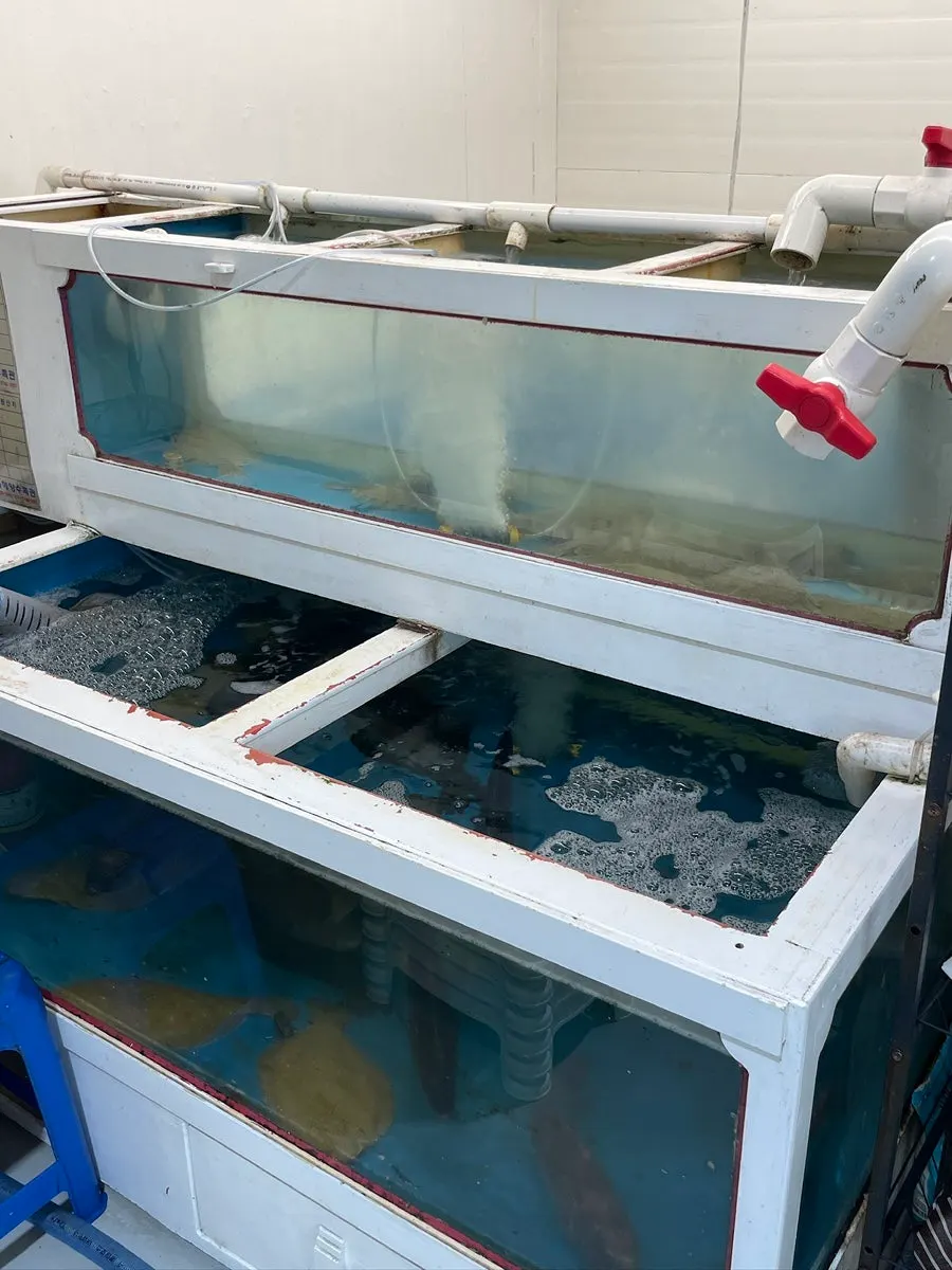 Fish tank outside the shop