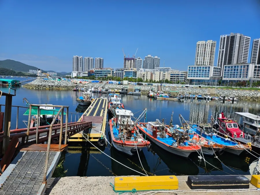 여수 신월로 항구 옆 우창호 회포장&직판장 주변 풍경