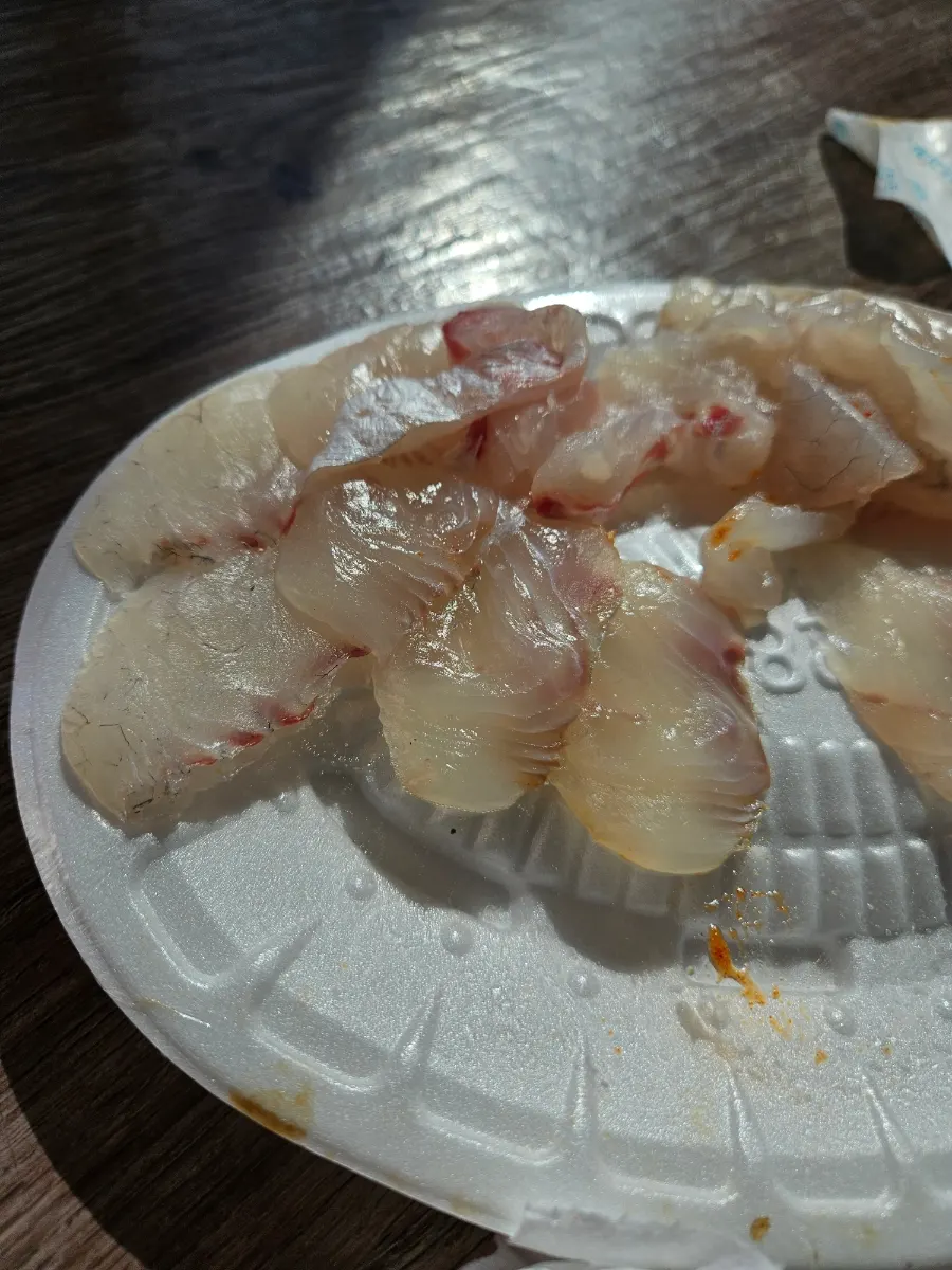 참돔회 한 점을 집어 든 모습