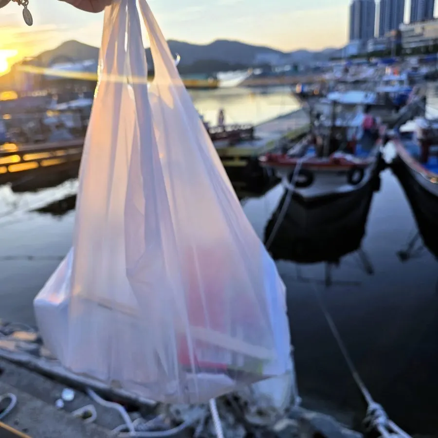 예약해 둔 회를 바로 받아 든 포장 봉투