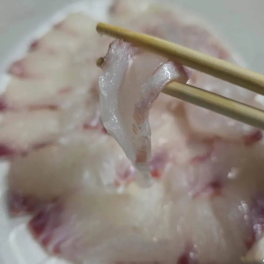 숙소 야식으로 먹은 참돔 활어회